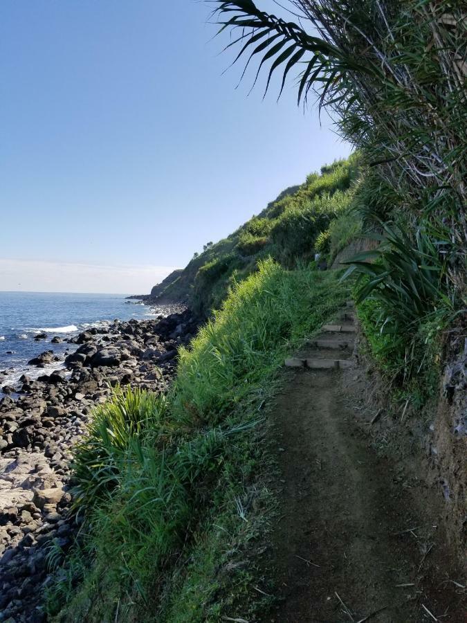 Casa Simba , Where The Fun Begins Ponta Delgada Exterior foto